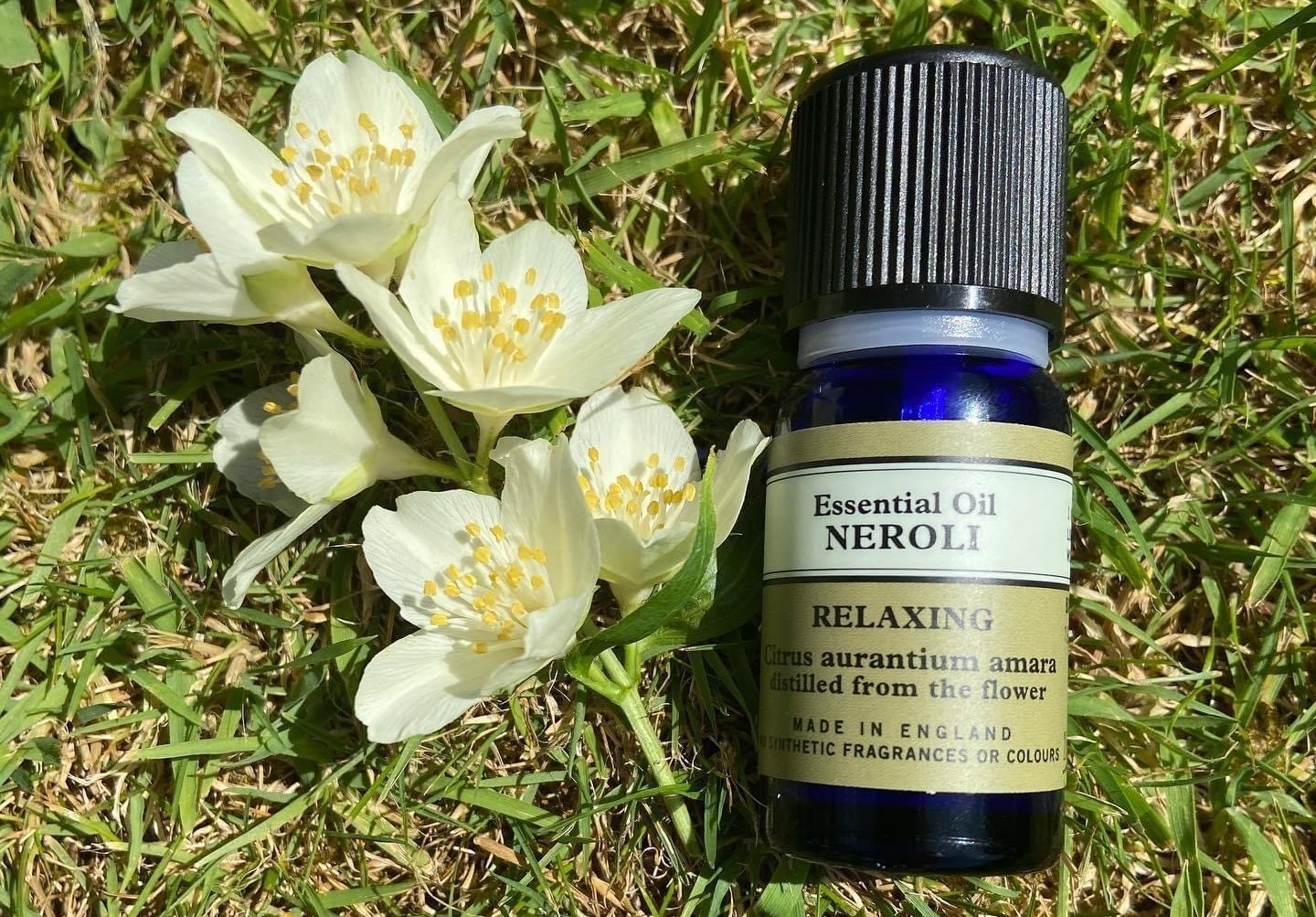 Neroli Essential Oil